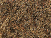 Arizona Diamond Dub - Dark Hares Ear