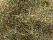 Arizona Diamond Dub - Dark Olive