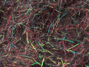 Arizona Diamond Dub - Blood Leech