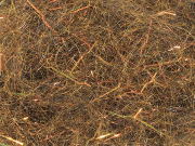 Arizona Diamond Dub - Dark Copper Mocha