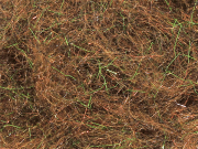 Arizona Diamond Dub - Bronze Peacock