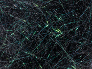 Arizona Diamond Hair - Black