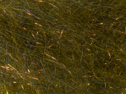 Arizona Diamond Hair - Olive Tan