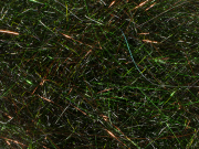 Arizona Diamond Hair - Peacock