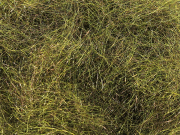 Arizona Synthetic Mega Dubbing - Peacock