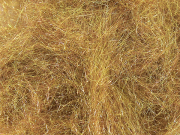 Arizona Synthetic Dubbing - Bronze Peacock