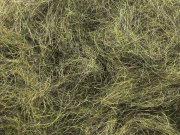 Arizona Synthetic Dubbing - Peacock