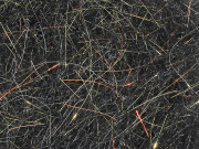 Arizona Simi Seal Dubbing - Black Gold