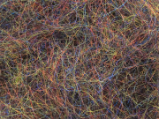 Arizona Simi Seal Dubbing - Canadian Black