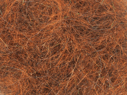 Arizona Simi Seal Dubbing - Halloween