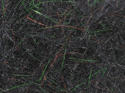 Arizona Simi Seal Dubbing - Black Peacock