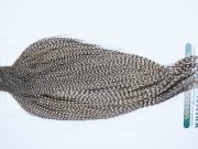 3636 Hebert Dry Fly Hackle, Pro Grade Rooster Cape Dun Grizzly Ties Size 10-20