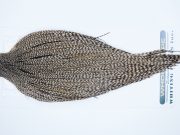 3637 Hebert Dry Fly Hackle, Pro Grade Rooster Cape Dun Grizzly Ties Size 10-22