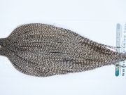 3638 Hebert Dry Fly Hackle, Pro Grade Rooster Cape Dun Grizzly Ties Size 10-22