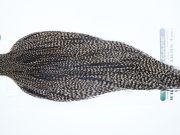 3651 Hebert Dry Fly Hackle, Bronze Grade Rooster Cape Grizzly Variant Ties Size 10-22