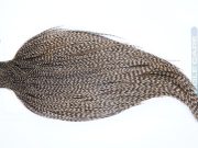 3658 Hebert Dry Fly Hackle, Bronze Grade Rooster Cape Dun Grizzly Ties Size 10-22