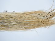 3754 Heritage Dry Fly Hackle, 1 Grade Rooster Saddle Variant Ties Size 14-16