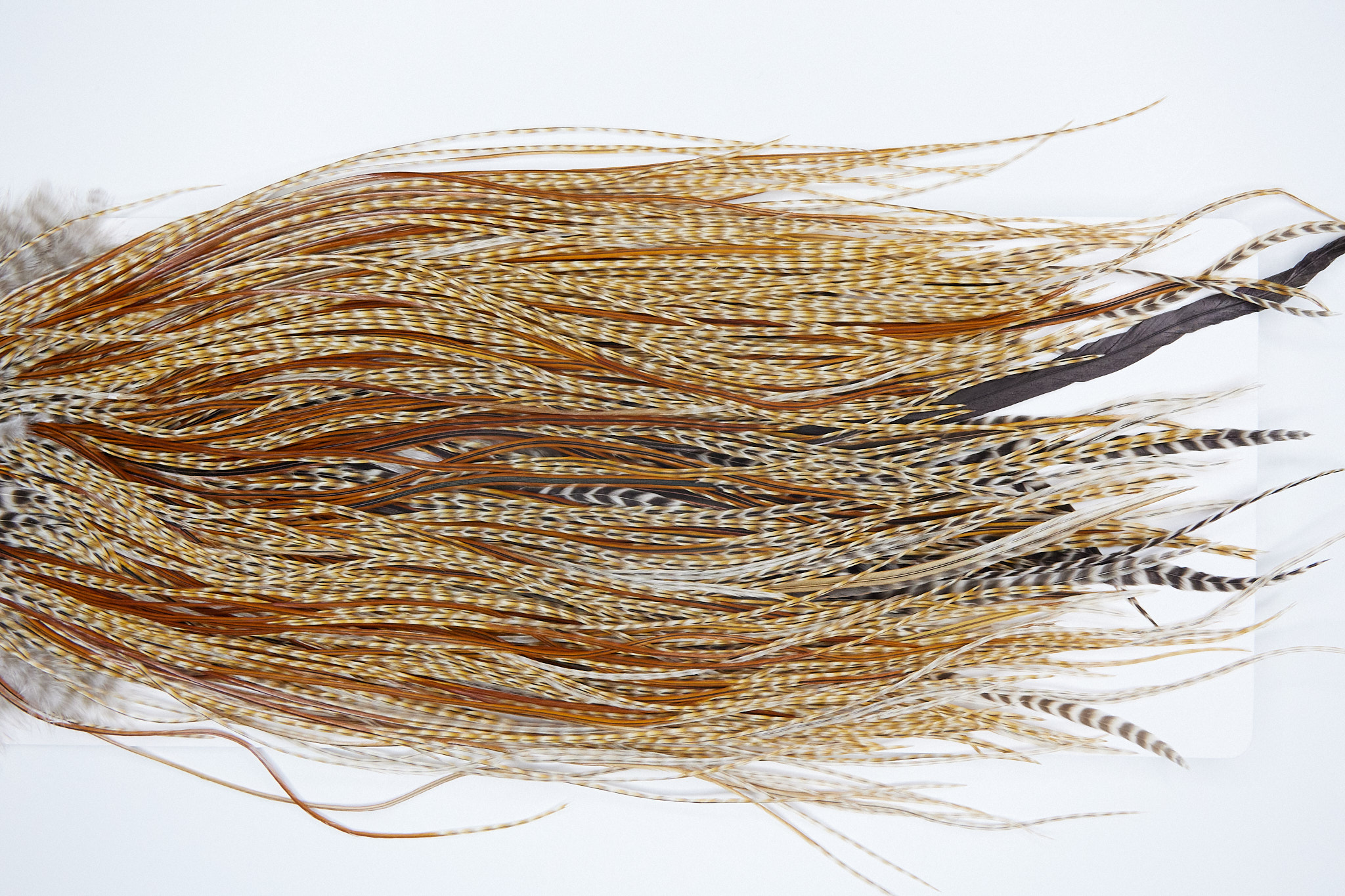 3827 Heritage Dry Fly Hackle, 3 Grade Midge Saddle Barred Ginger Ties Size 16-18