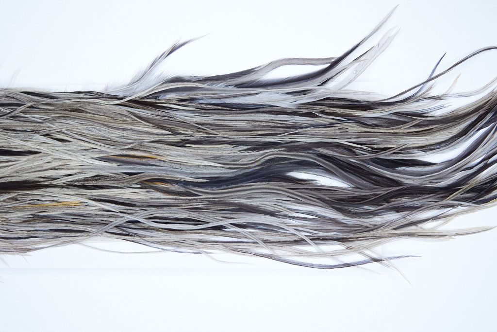 3947 Hebert Dry Fly Hackle, Pro Grade Rooster Saddle Unique Variant Ties Size 10-12