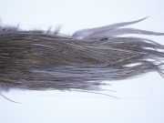4072 Whiting Dry Fly Hackle, Pro Grade Rooster Saddle Dark Dun Ties Size 14