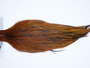 4222 Beaverkill Dry Fly Hackle Rooster Cape Furnace Ties Size 10-20