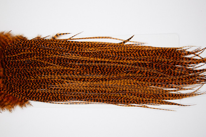 4469 Whiting Dry Fly Hackle Bronze Grade Rooster Saddle Grizzly Burnt Orange Ties Size 12-14