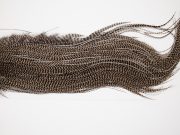 4483 Whiting Wet Fly Hackle Gold Grade Midge Saddle Grizzly Medium Dun Ties Size 16-18