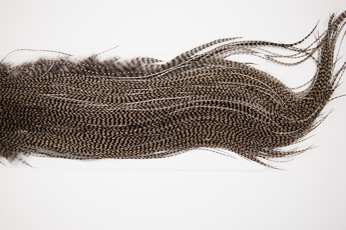 4483 Whiting Wet Fly Hackle Gold Grade Midge Saddle Grizzly Medium Dun Ties Size 16-18