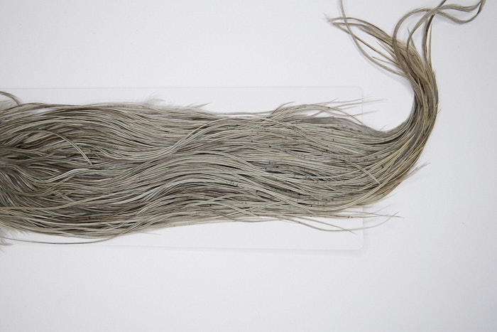 4506 Hebert Dry Fly Hackle Pro Grade Rooster Saddle Medium Grey Dun Ties Size 12-14