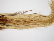 4554 Hebert Dry Fly Hackle Silver Grade Rooster Saddle Light Ginger Dun Ties Size 12-14