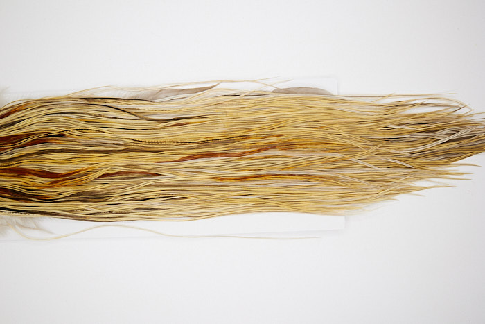 4559 Hebert Dry Fly Hackle Gold Grade Rooster Saddle Light Ginger Dun Ties Size 12-14