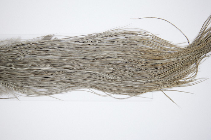 4564 Hebert Dry Fly Hackle Gold Grade Rooster Saddle Medium Grey Dun Ties Size 10-14