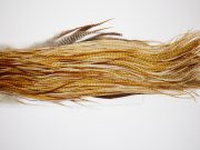4574 Hebert Dry Fly Hackle Gold Grade Rooster Saddle Barred Dark Ginger Ties Size 12-14