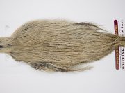 4644 Coq De Leon Dry Fly Hackle None Rooster Cape Light Pardo