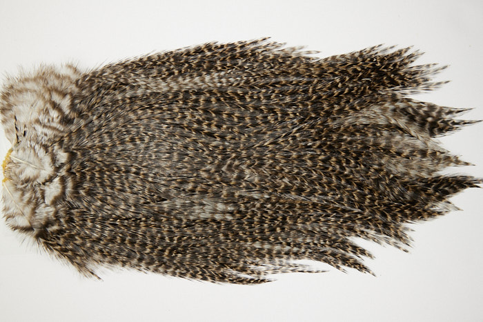 4660 Coq De Leon Dry Fly Hackle Bronze Grade Rooster Saddle Grizzly