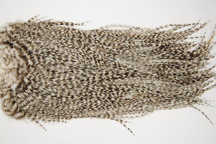 4662 Coq De Leon Dry Fly Hackle Bronze Grade Rooster Saddle Grizzly