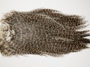 4663 Coq De Leon Dry Fly Hackle Bronze Grade Rooster Saddle Grizzly