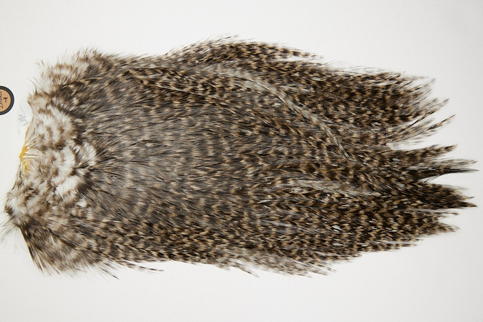 4663 Coq De Leon Dry Fly Hackle Bronze Grade Rooster Saddle Grizzly