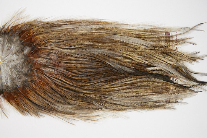 4673 Coq De Leon Dry Fly Hackle Bronze Grade Rooster Saddle Dun Ties Size NA