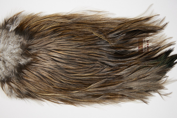 4674 Coq De Leon Dry Fly Hackle Bronze Grade Rooster Saddle Dun Ties Size NA