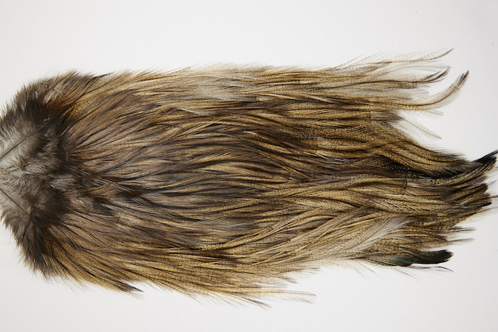 4676 Coq De Leon Dry Fly Hackle Bronze Grade Rooster Saddle Dun Ties Size NA