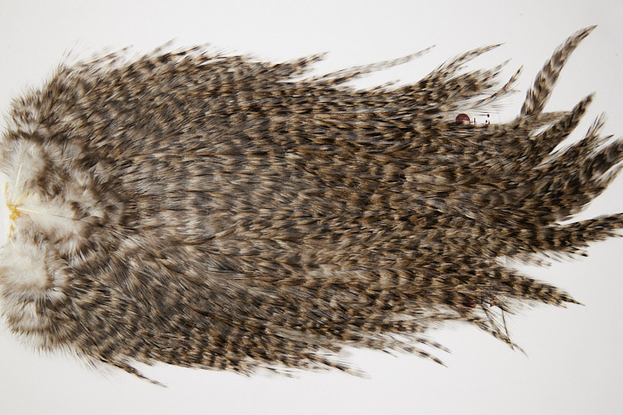 4678 Coq De Leon Dry Fly Hackle Bronze Grade Rooster Saddle Grizzly Pardo