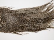 4680 Coq De Leon Dry Fly Hackle Bronze Grade Rooster Saddle Grizzly Pardo