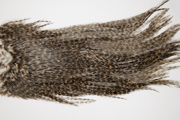 4680 Coq De Leon Dry Fly Hackle Bronze Grade Rooster Saddle Grizzly Pardo