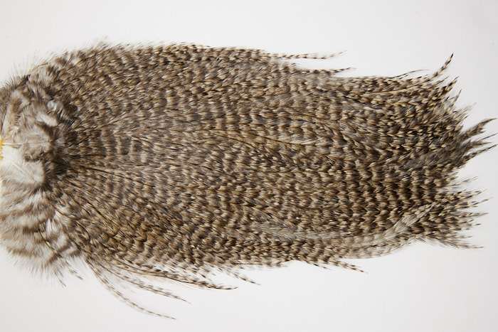 4682 Coq De Leon Dry Fly Hackle Bronze Grade Rooster Saddle Grizzly Pardo