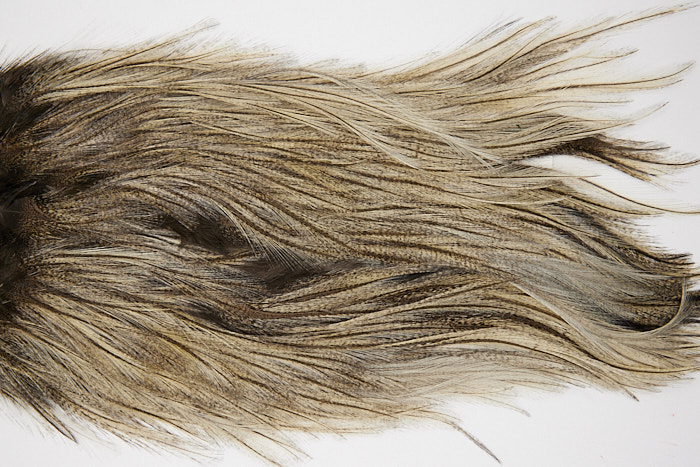 4718 Coq De Leon Dry Fly Hackle Silver Grade Rooster Saddle Cream Badger