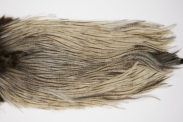 4719 Coq De Leon Dry Fly Hackle Silver Grade Rooster Saddle Cream Badger