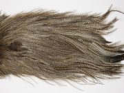 4732 Coq De Leon Dry Fly Hackle Silver Grade Rooster Saddle Light Pardo