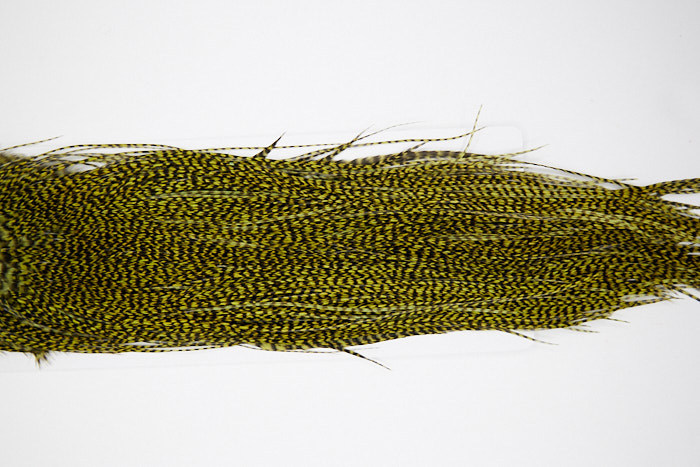 4776 Whiting Dry Fly Hackle Gold Grade Rooster Saddle Grizzly Olive Ties Size 14-16