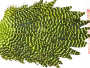 WHS1 Whiting Wet Fly Hen Saddle Grizzly Fl. Green Chartreuse